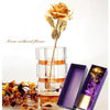 Golden Rose Valentine's Day Gift